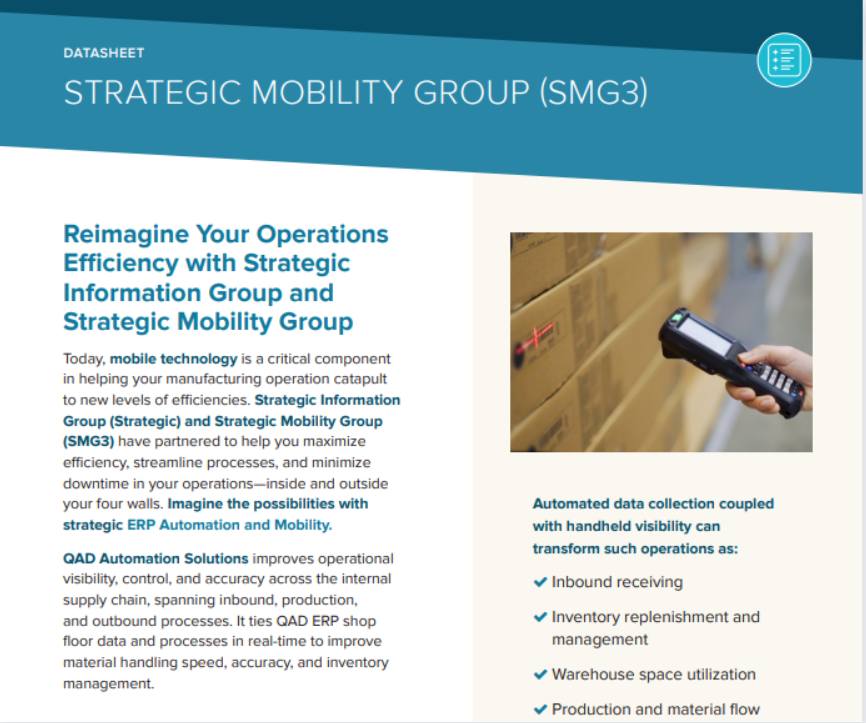 Strategic Mobility Group Datasheet